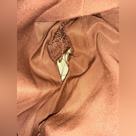 Coach Brown Signature Tote Bag - Picture 11 of 14